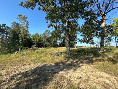 120+/- Cattle Ground Acres For Sale near Shirley, AR - image 34