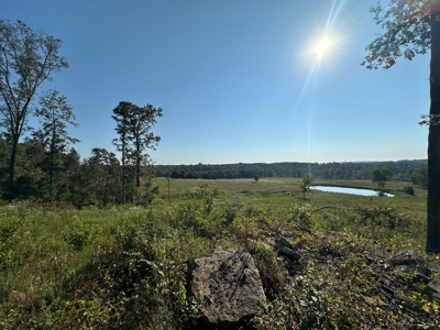 120+/- Cattle Ground Acres For Sale near Shirley, AR - image 35