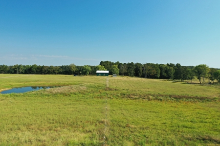 120+/- Cattle Ground Acres For Sale near Shirley, AR - image 8