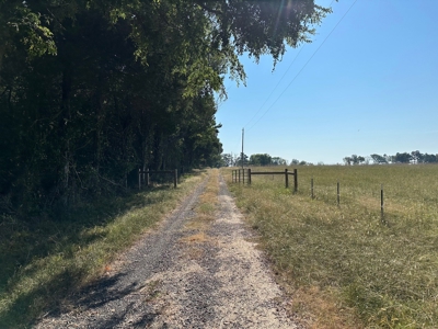 120+/- Cattle Ground Acres For Sale near Shirley, AR - image 17