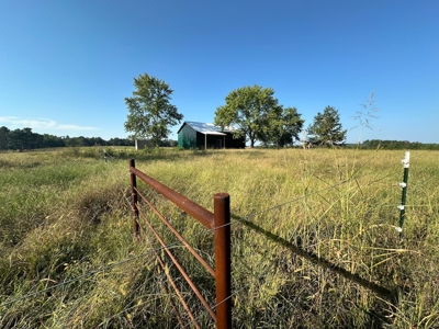 120+/- Cattle Ground Acres For Sale near Shirley, AR - image 38
