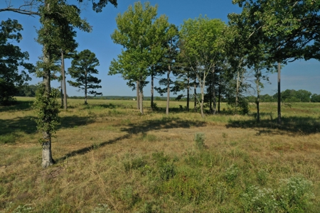 120+/- Cattle Ground Acres For Sale near Shirley, AR - image 11