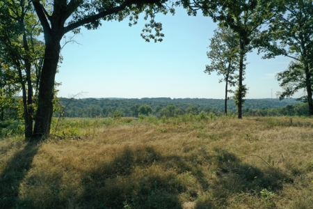 120+/- Cattle Ground Acres For Sale near Shirley, AR - image 10