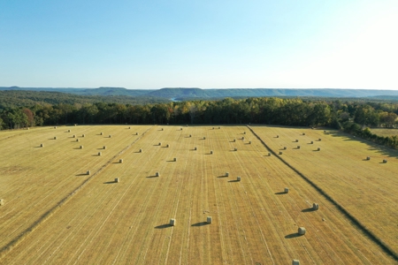 120+/- Cattle Ground Acres For Sale near Shirley, AR - image 45