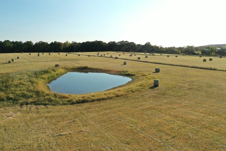 120+/- Cattle Ground Acres For Sale near Shirley, AR - image 46