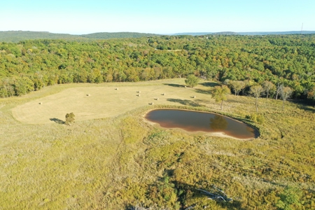 120+/- Cattle Ground Acres For Sale near Shirley, AR - image 44