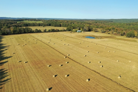 120+/- Cattle Ground Acres For Sale near Shirley, AR - image 48