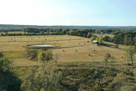 120+/- Cattle Ground Acres For Sale near Shirley, AR - image 50