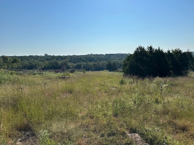 120+/- Cattle Ground Acres For Sale near Shirley, AR - image 20