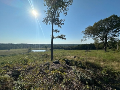 120+/- Cattle Ground Acres For Sale near Shirley, AR - image 37