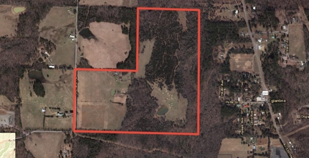 120+/- Cattle Ground Acres For Sale near Shirley, AR - image 16