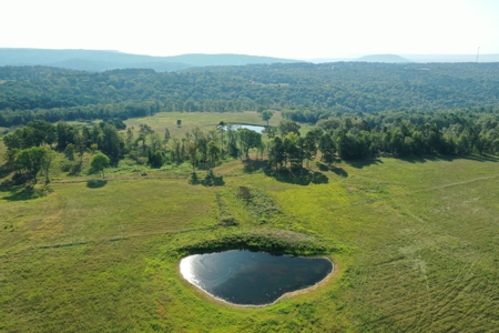 120+/- Cattle Ground Acres For Sale near Shirley, AR - image 1