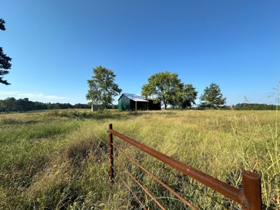 120+/- Cattle Ground Acres For Sale near Shirley, AR - image 40