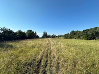 120+/- Cattle Ground Acres For Sale near Shirley, AR - image 25