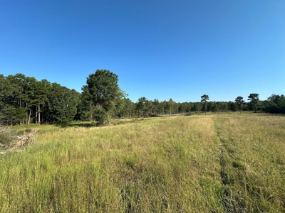 120+/- Cattle Ground Acres For Sale near Shirley, AR - image 27