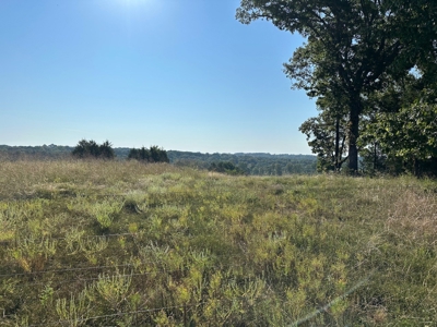 120+/- Cattle Ground Acres For Sale near Shirley, AR - image 30