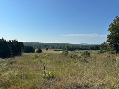 120+/- Cattle Ground Acres For Sale near Shirley, AR - image 21