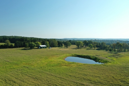 120+/- Cattle Ground Acres For Sale near Shirley, AR - image 2