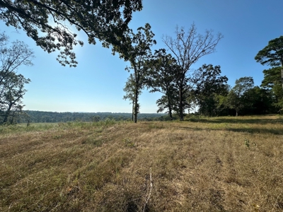 120+/- Cattle Ground Acres For Sale near Shirley, AR - image 36