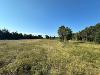 120+/- Cattle Ground Acres For Sale near Shirley, AR - image 22
