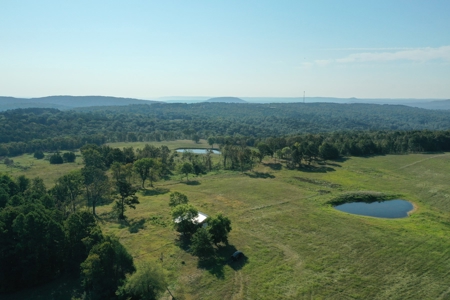 120+/- Cattle Ground Acres For Sale near Shirley, AR - image 9