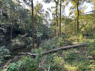 120+/- Cattle Ground Acres For Sale near Shirley, AR - image 18