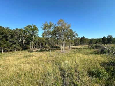 120+/- Cattle Ground Acres For Sale near Shirley, AR - image 23