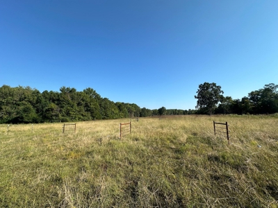 120+/- Cattle Ground Acres For Sale near Shirley, AR - image 29