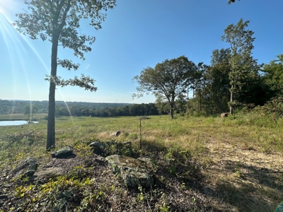 120+/- Cattle Ground Acres For Sale near Shirley, AR - image 33