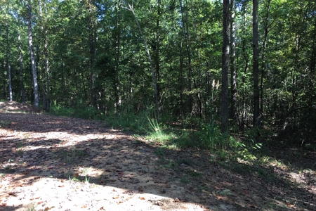 Tn Land For Sale Near Tn River And Marina - image 12