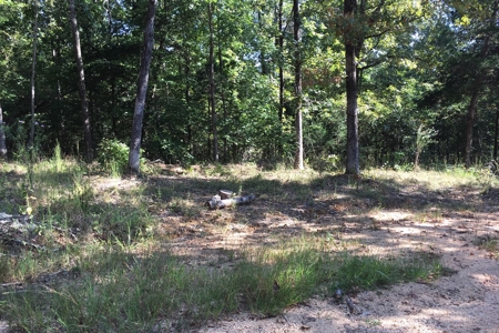 Tn Land For Sale Near Tn River And Marina - image 8