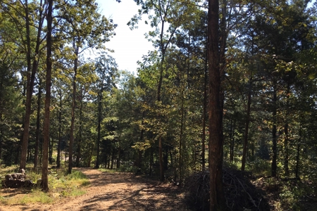Tn Land For Sale Near Tn River And Marina - image 17