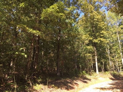 Tn Land For Sale Near Tn River And Marina - image 9