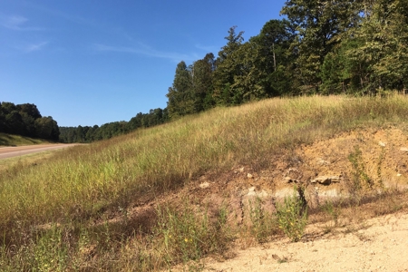 Tn Land For Sale Near Tn River And Marina - image 18