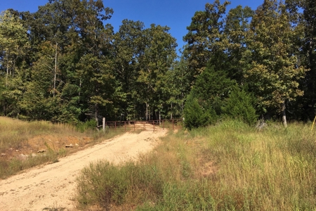 Tn Land For Sale Near Tn River And Marina - image 2