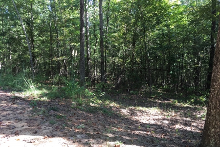 Tn Land For Sale Near Tn River And Marina - image 11