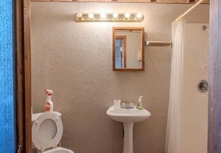 Serene Country Living 3 Bedroom/ 2 Bathroom  in Taft, TX - image 5