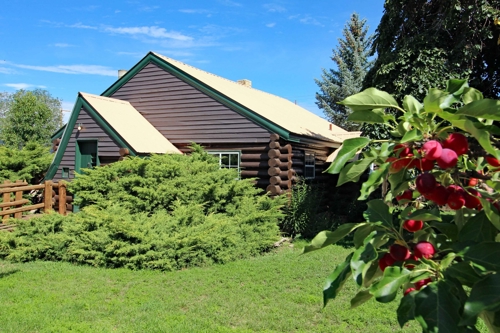 650 W Grand Ave, Mancos
