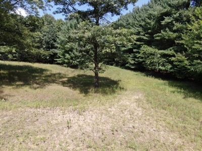 Three Lot Auction, Westfield, Mecan, and Montello Wisconsin - image 17
