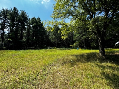 Three Lot Auction, Westfield, Mecan, and Montello Wisconsin - image 21