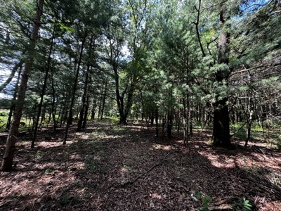 Three Lot Auction, Westfield, Mecan, and Montello Wisconsin - image 41