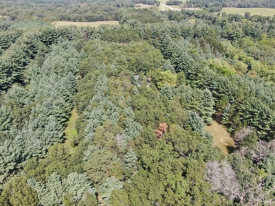 Three Lot Auction, Westfield, Mecan, and Montello Wisconsin - image 10