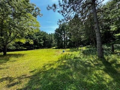 Three Lot Auction, Westfield, Mecan, and Montello Wisconsin - image 38