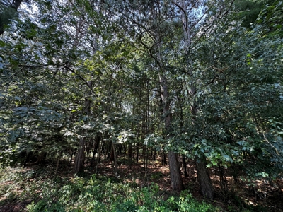 Three Lot Auction, Westfield, Mecan, and Montello Wisconsin - image 31