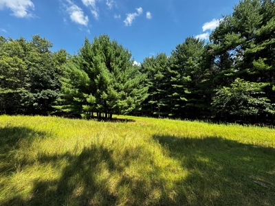 Three Lot Auction, Westfield, Mecan, and Montello Wisconsin - image 23