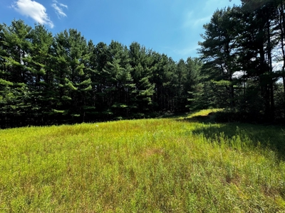 Three Lot Auction, Westfield, Mecan, and Montello Wisconsin - image 29
