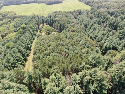 Three Lot Auction, Westfield, Mecan, and Montello Wisconsin - image 11