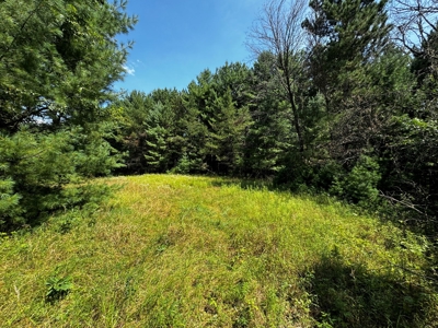 Three Lot Auction, Westfield, Mecan, and Montello Wisconsin - image 40