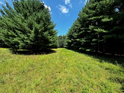 Three Lot Auction, Westfield, Mecan, and Montello Wisconsin - image 24