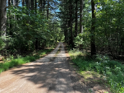 Three Lot Auction, Westfield, Mecan, and Montello Wisconsin - image 46